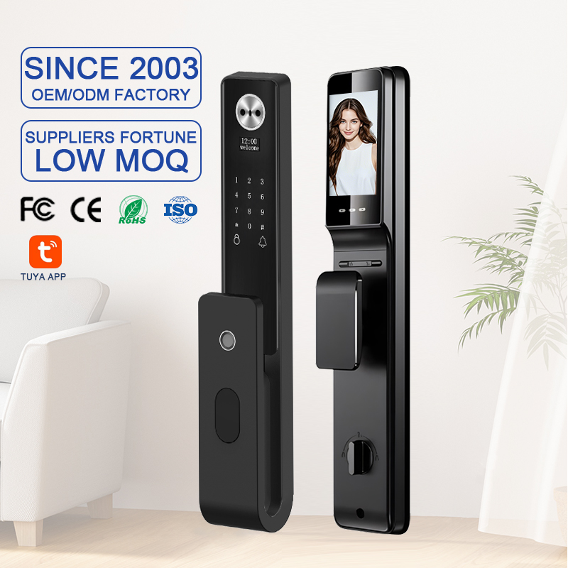 Face Recognition Door Lock - 투야 와이파이 스마트 지문 디지털 도어락