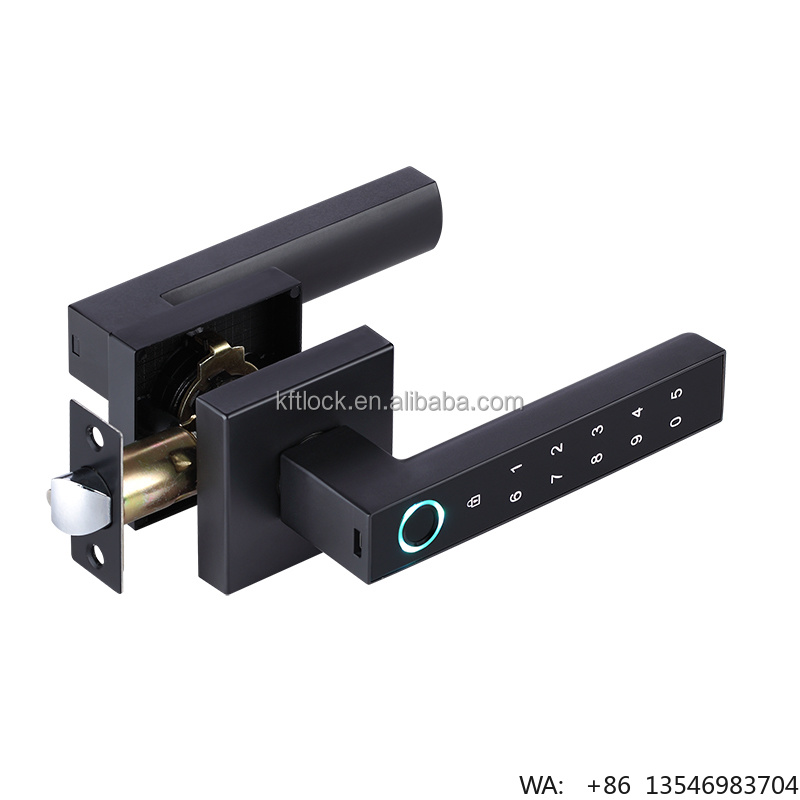 Digital Door Lock Fingerprint Handle - 디지털 전자 비밀번호 지문 스마트 레버