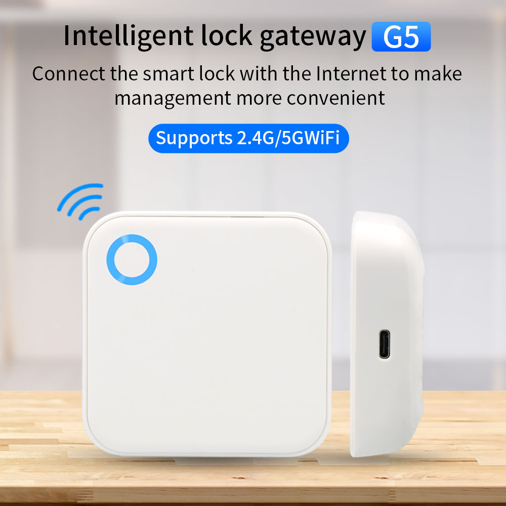 Smart Lock For Sliding Door - 2.4G + 5G TTLOCK WIFI 게이트웨이