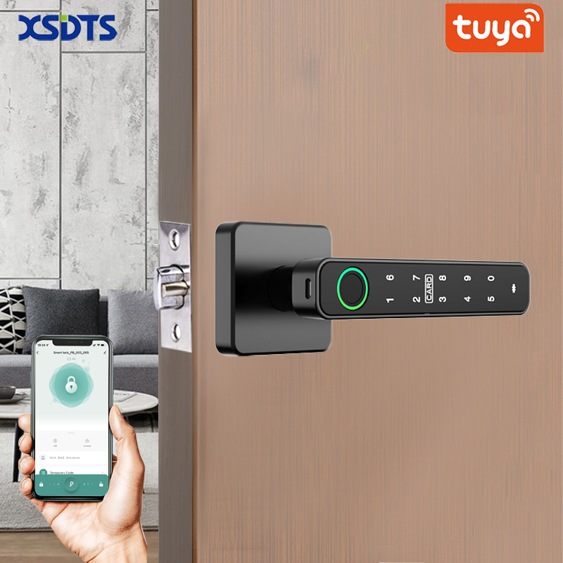 Digital Door Lock Fingerprint Handle - XSDTS 투야 핸들 지문 키 카드