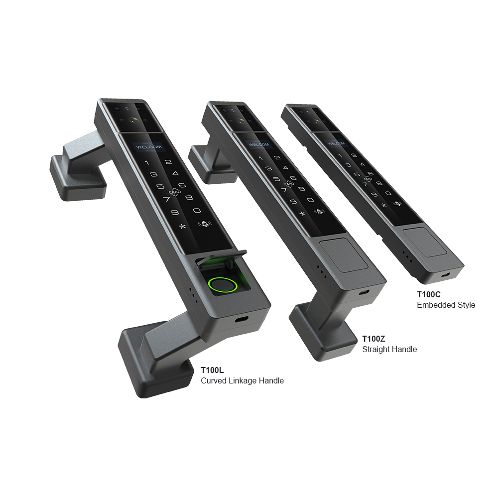 Smart Door Lock 3D Face Palm Vein - 팜베인 투야 스마트 게이트 도어락 IP68