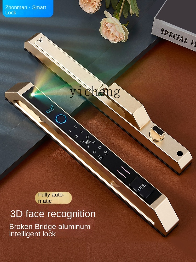 Face Recognition Door Lock - cc29 자동 브로큰 브리지 알루미늄 지문