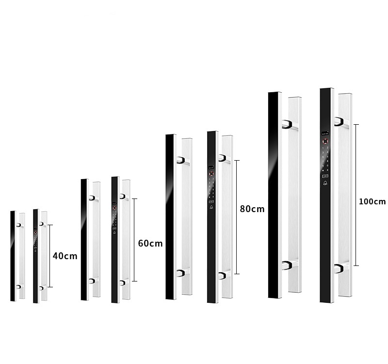 Digital Door Lock Fingerprint Handle - VIANS APP 80CM 더블 도어 스마트
