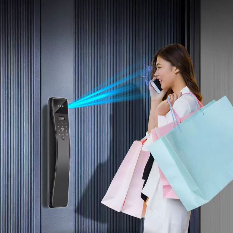 스마트 비밀번호 잠금, 지문 인식, 투야(Tuya) 연 - Video Door Lock With Camera Peephole 리뷰 및 가격