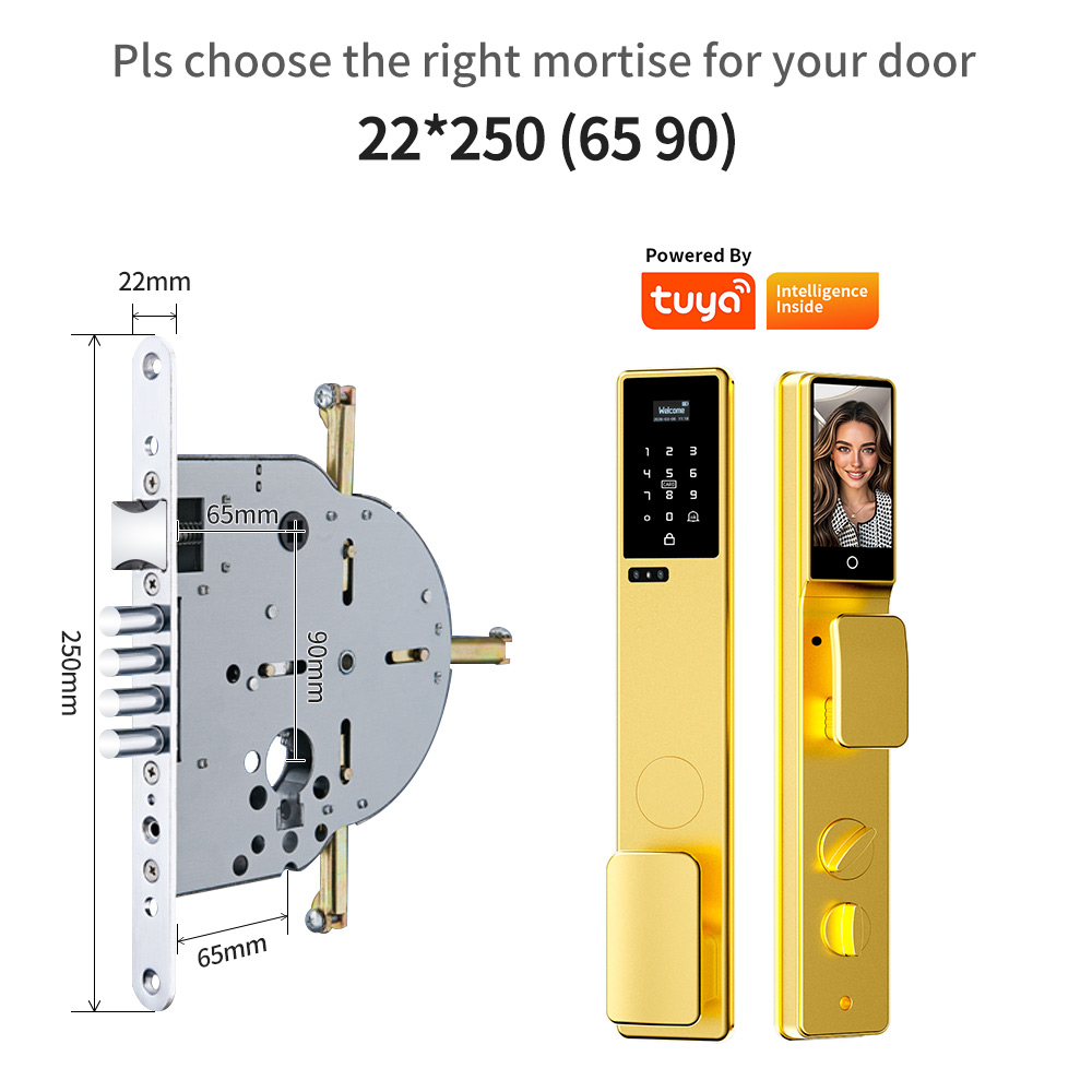 방수 기능이 있는 3D 얼굴 인식 및 손바닥 인식 기능 - Smart Door Lock 3D Face Palm Vein 리뷰 및 가격