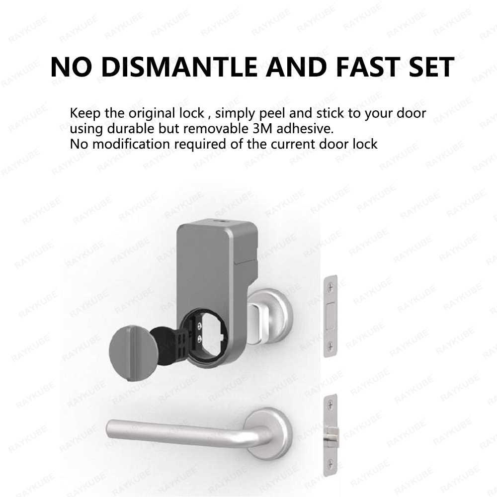 RAYKUBE A1 Pro Tuya BEL 스마트 도어 - Smart Lock For Sliding Door 리뷰 및 가격