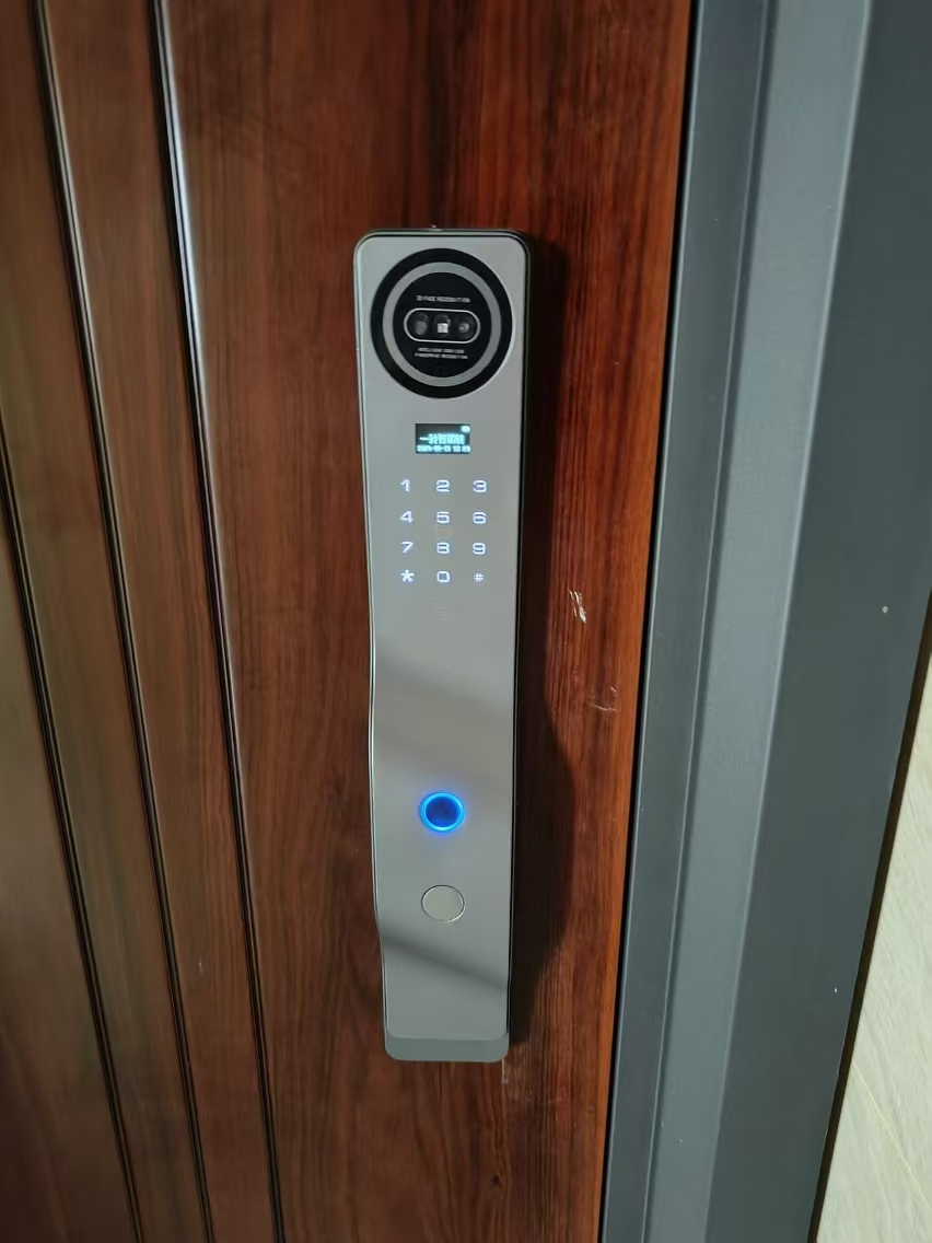 3D 얼굴 인식 와이파이 투야 스마트 도어락, 비주얼  - Smart Door Lock 3D Face Palm Vein 리뷰 및 가격