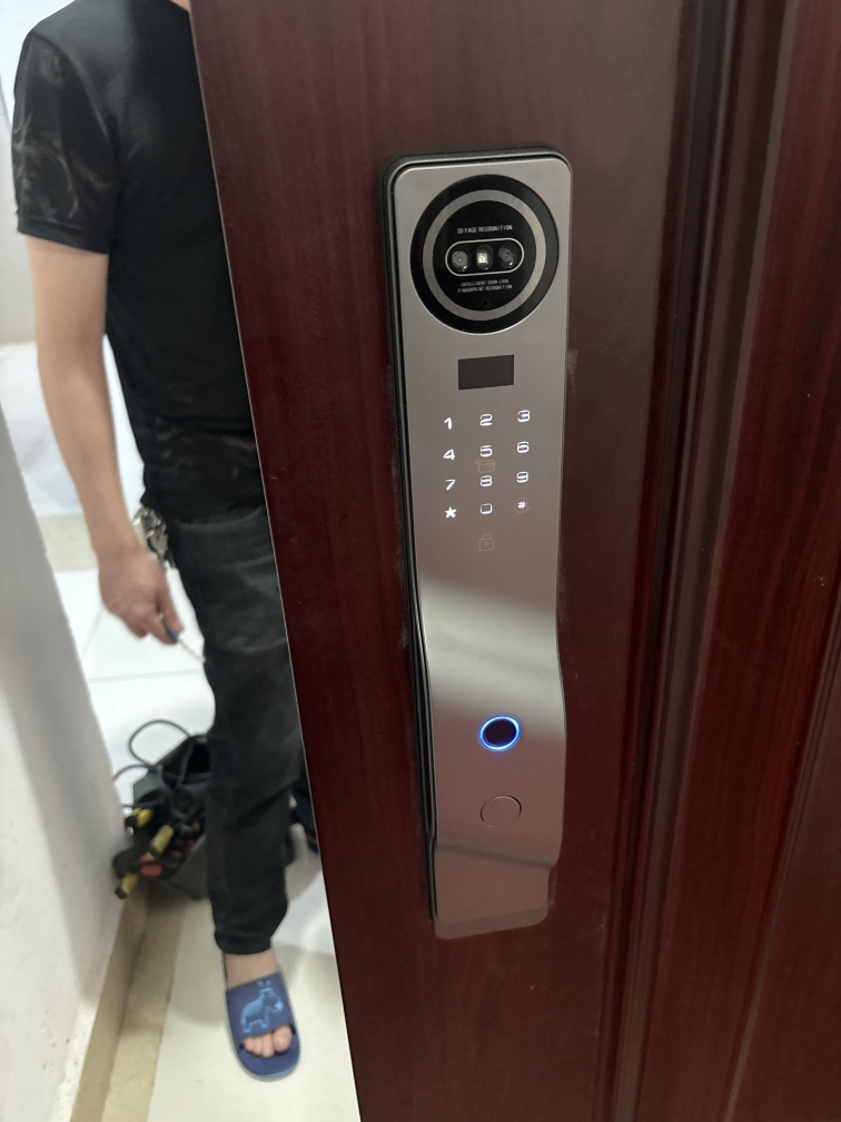 3D 얼굴 인식 와이파이 투야 스마트 도어락, 비주얼  - Smart Door Lock 3D Face Palm Vein 리뷰 및 가격