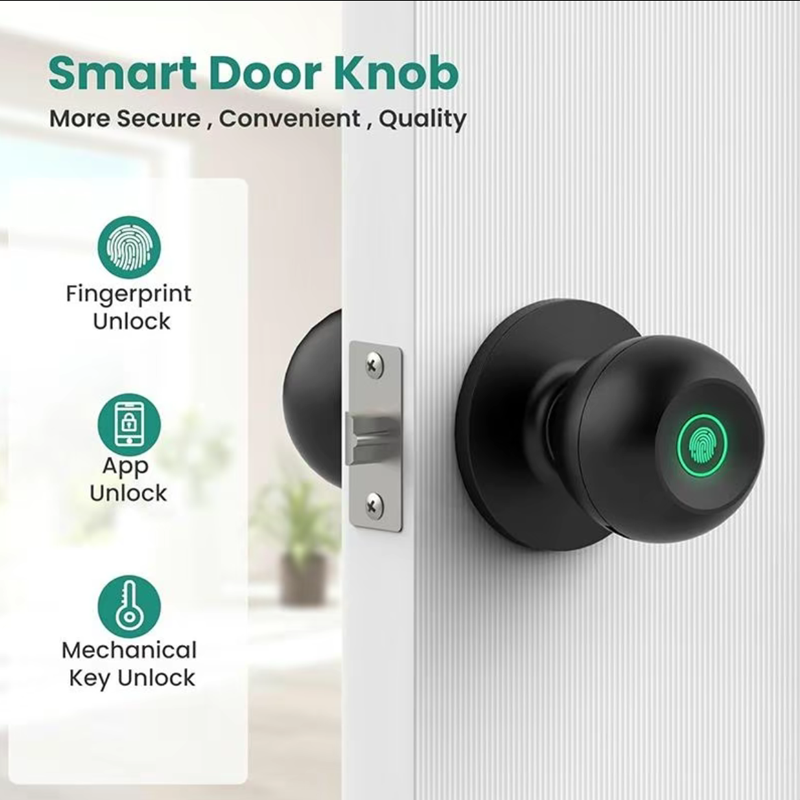 블루투스 투야 앱 제어 스마트 문짝 잠금 장치, 키리스 - Fingerprint Padlock Weatherproof 리뷰 및 가격