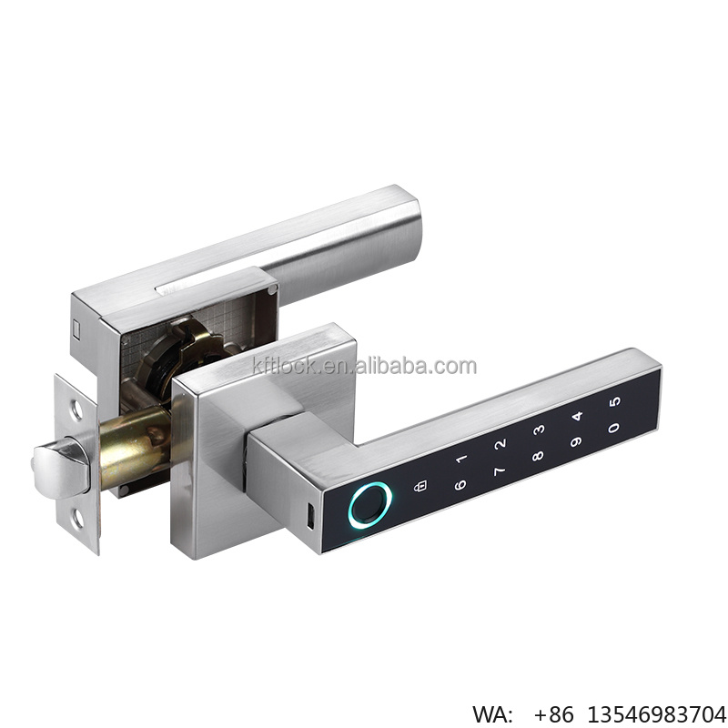 디지털 전자 비밀번호 지문 스마트 레버 도어 핸들 잠금 - Digital Door Lock Fingerprint Handle 리뷰 및 가격