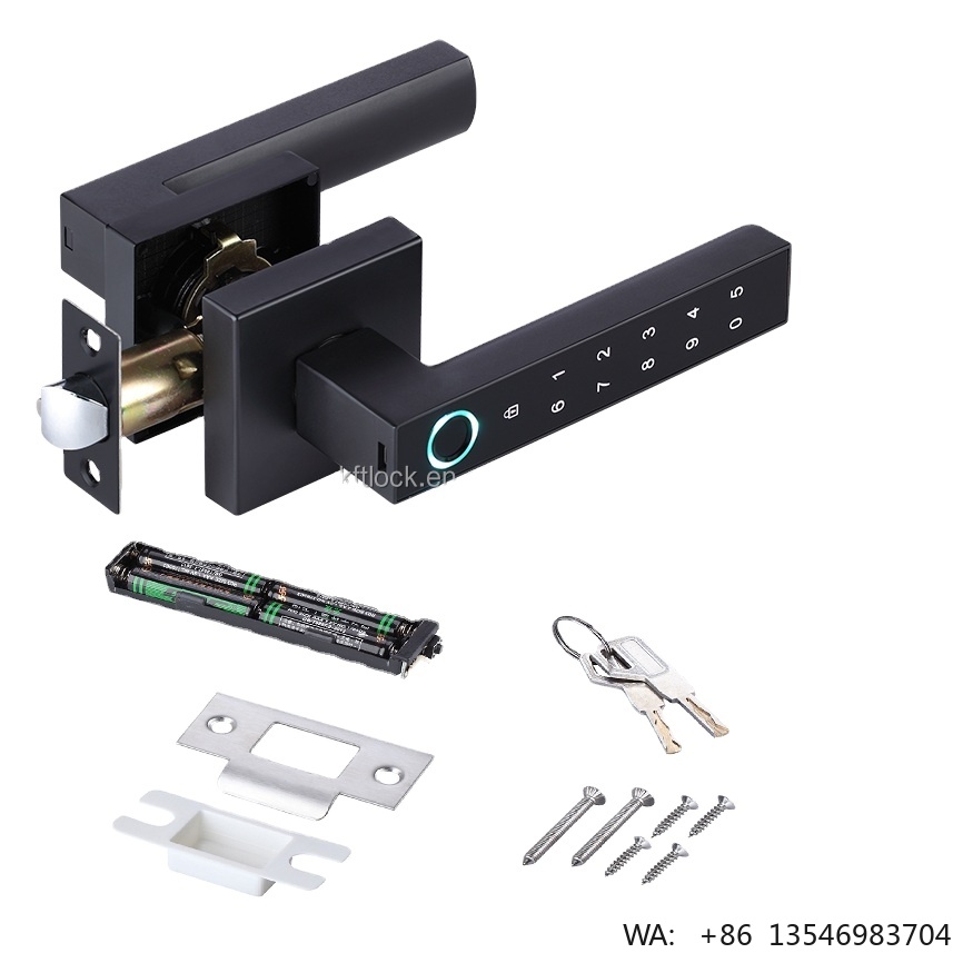 디지털 전자 비밀번호 지문 스마트 레버 도어 핸들 잠금 - Digital Door Lock Fingerprint Handle 리뷰 및 가격
