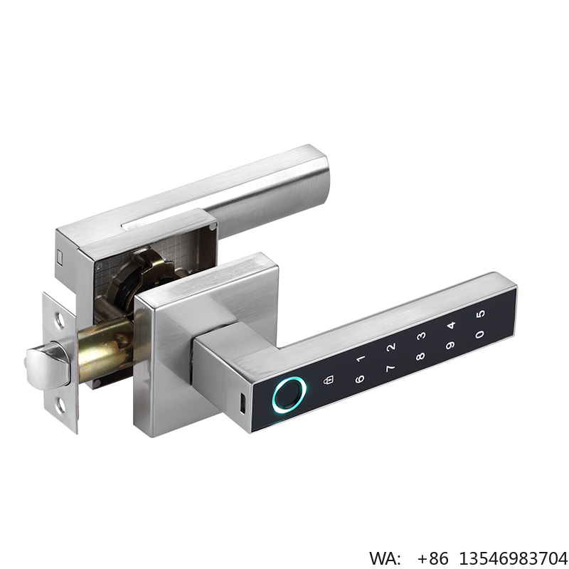 디지털 전자 비밀번호 지문 스마트 레버 도어 핸들 잠금 - Digital Door Lock Fingerprint Handle 리뷰 및 가격