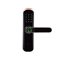와이파이(WiFi) 연결, 지문 인식, 터치스크린, 생 - Digital Door Lock Fingerprint Handle 리뷰 및 가격