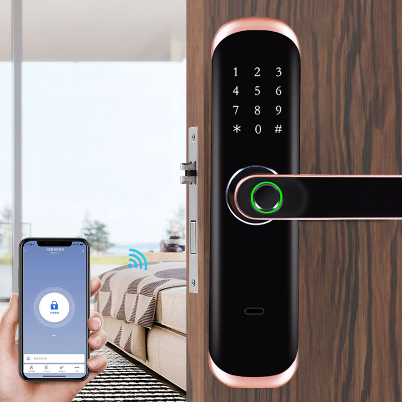 와이파이(WiFi) 연결, 지문 인식, 터치스크린, 생 - Digital Door Lock Fingerprint Handle 리뷰 및 가격