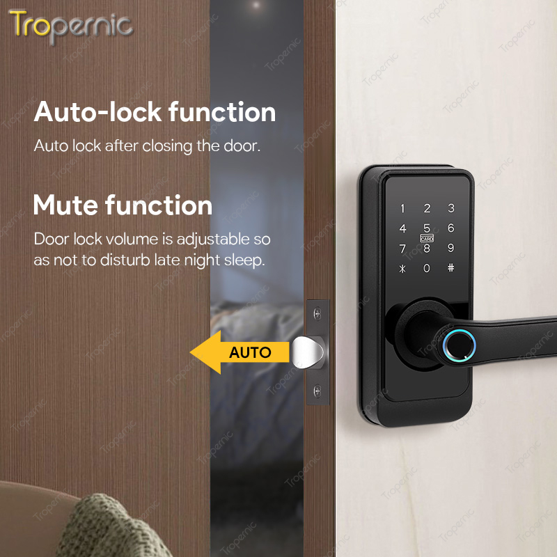 스마트 데드볼트 투야 스마트라이프 와이파이 TTLOCK - Smart Lock Deadbolt Keypad Bluetooth 리뷰 및 가격