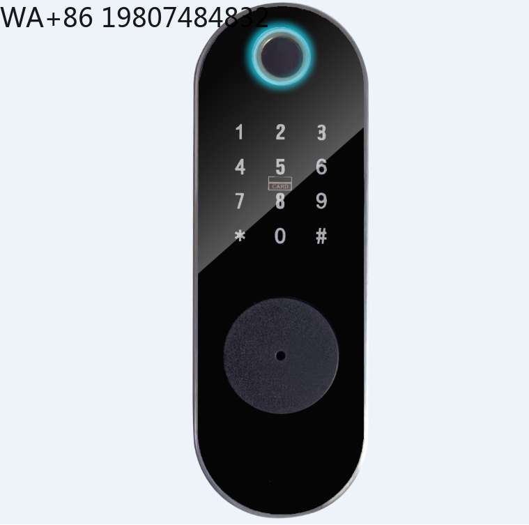 사우디 인기 와이파이 스마트 게이트 림 락 터치 키패드 - Smart Rim Lock Wifi Fingerprint 리뷰 및 가격