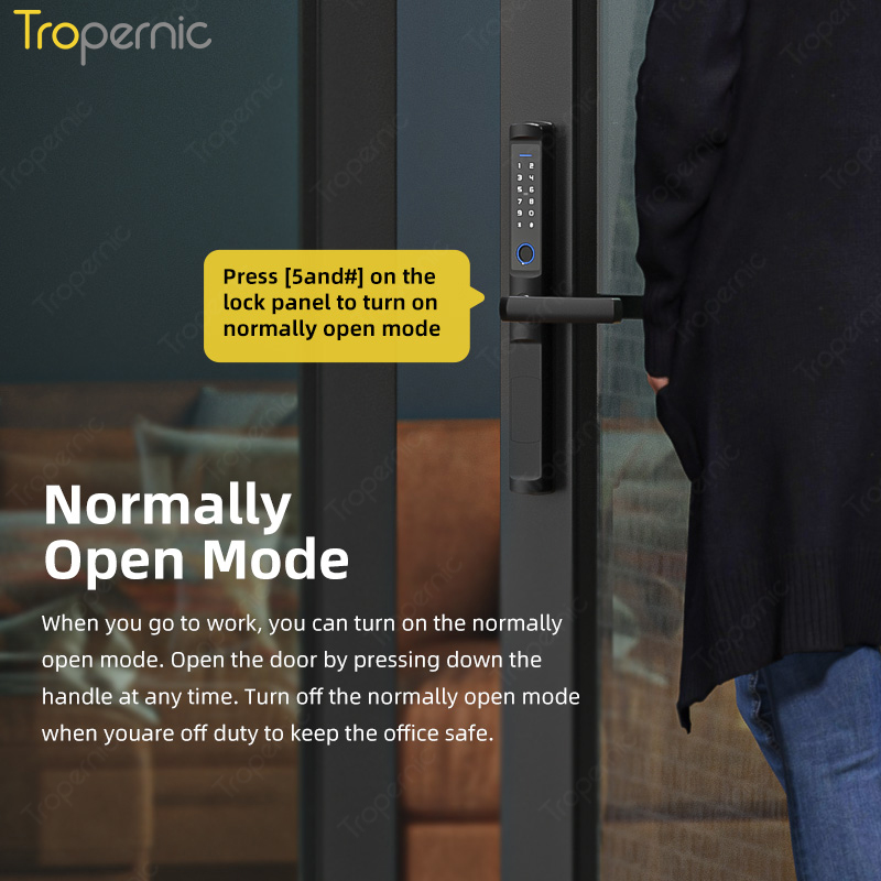 방수 투야 지그비 생체 인식 지문 도어락, 전자 스마트 - Smart Lock Zigbee Gateway 리뷰 및 가격