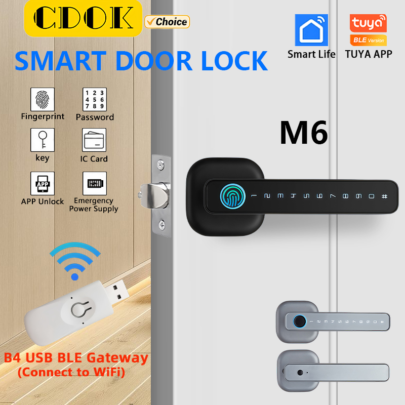 CDOK 2025 M6 투야 블루투스 스마트락 - 지문 - Smart Lock Zigbee Gateway 리뷰 및 가격