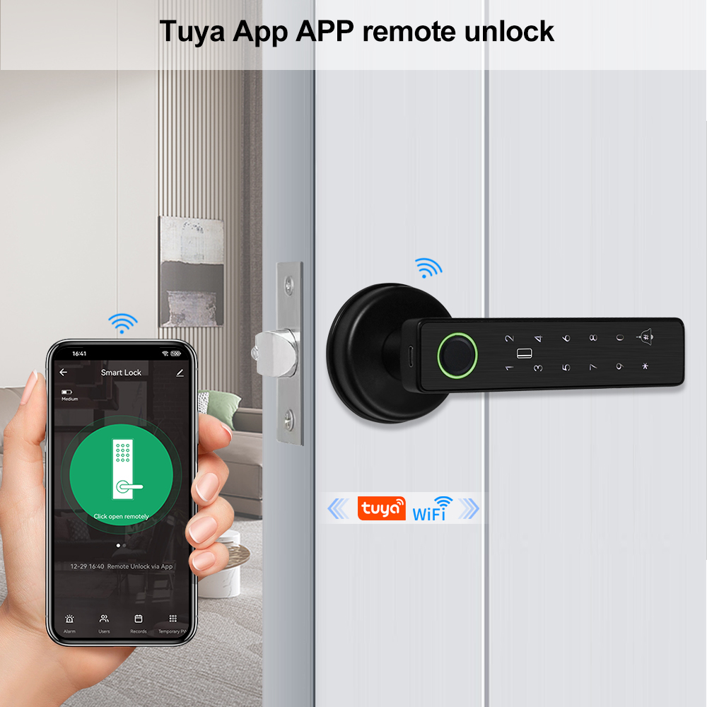 와이파이 투야 앱 생체 지문 스마트 문짝 잠금, 암호  - Fingerprint Padlock Weatherproof 리뷰 및 가격
