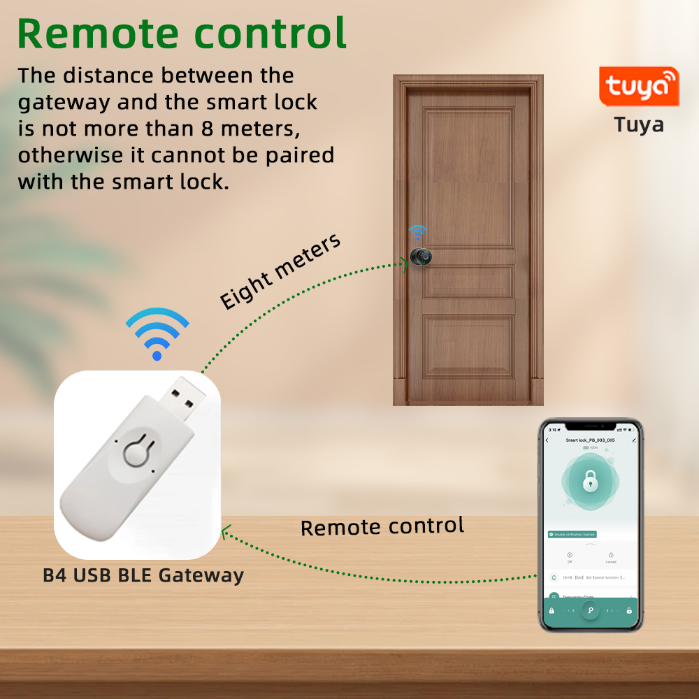 CDOK Q6 Tuya 블루투스 스마트 볼 잠금장치,  - Smart Lock Zigbee Gateway 리뷰 및 가격