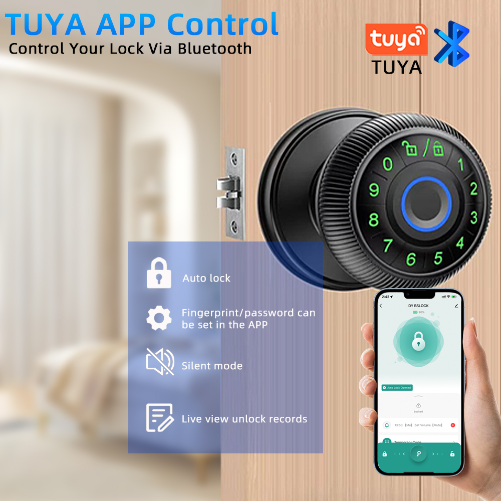 CDOK Q6 Tuya 블루투스 스마트 볼 잠금장치,  - Smart Lock Zigbee Gateway 리뷰 및 가격