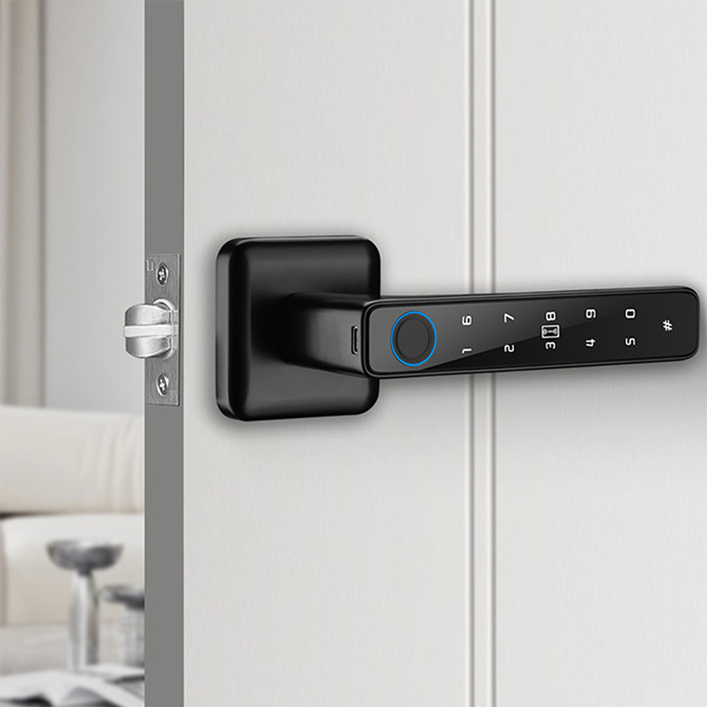 투야 디지털 스마트 도어락 다중 접근 방식 핸들 지문  - Digital Door Lock Fingerprint Handle 리뷰 및 가격