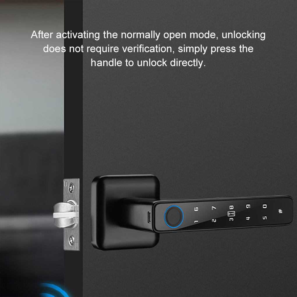 투야 디지털 스마트 도어락 다중 접근 방식 핸들 지문  - Digital Door Lock Fingerprint Handle 리뷰 및 가격