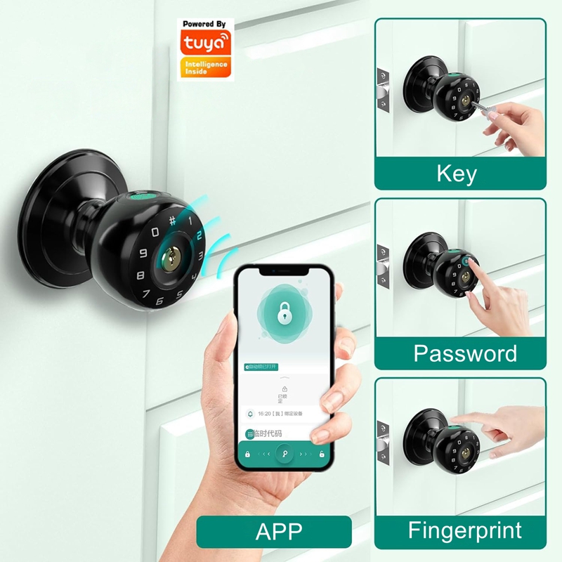 Tuya 지문 스마트 데드볼트 잠금 장치, 블루투스 전 - Smart Lock Deadbolt Keypad Bluetooth 리뷰 및 가격