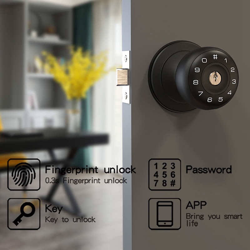 Tuya 지문 스마트 데드볼트 잠금 장치, 블루투스 전 - Smart Lock Deadbolt Keypad Bluetooth 리뷰 및 가격