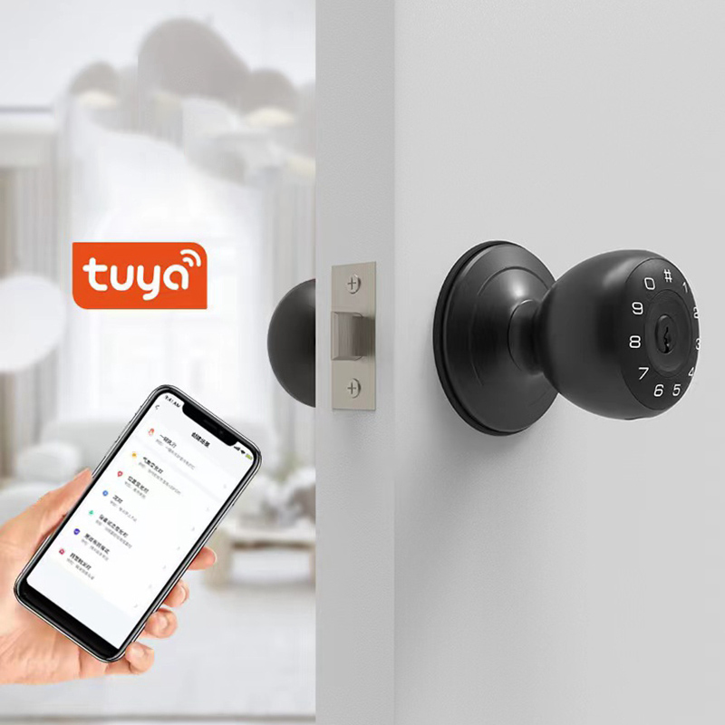 Tuya 지문 스마트 데드볼트 잠금 장치, 블루투스 전 - Smart Lock Deadbolt Keypad Bluetooth 리뷰 및 가격