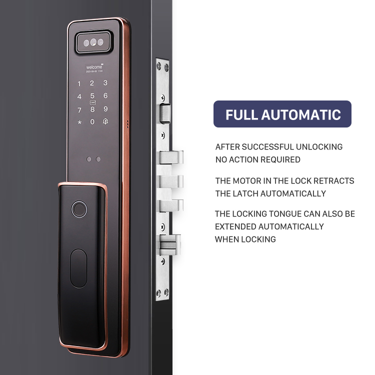 공장가 실시간 영상 인터콤 얼굴인식 스마트 지문인식 카 - Smart Door Lock With Camera Intercom 리뷰 및 가격