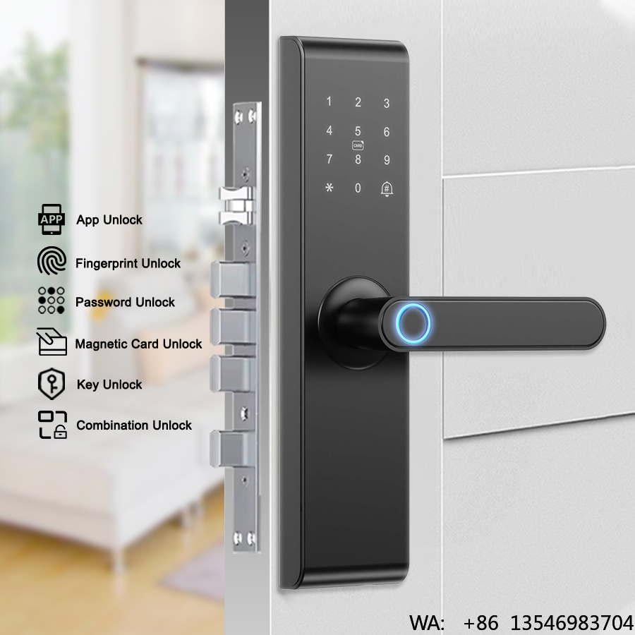 이테크이 맞춤형 키리스 와이파이 TT락 앱 디지털 생체 - Digital Door Lock Fingerprint Handle 리뷰 및 가격