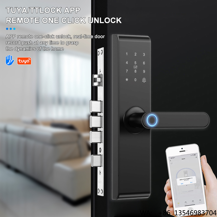 이테크이 맞춤형 키리스 와이파이 TT락 앱 디지털 생체 - Digital Door Lock Fingerprint Handle 리뷰 및 가격