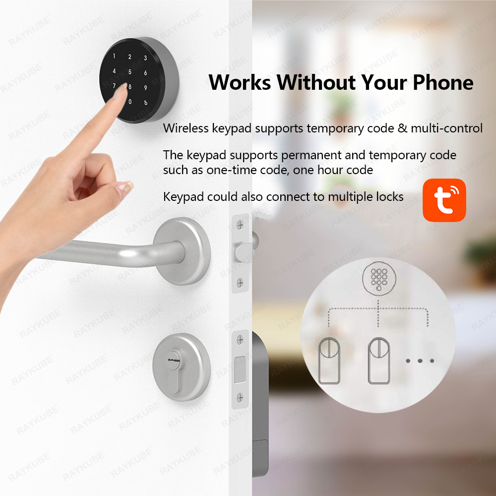 RAYKUBE A1 Pro Tuya BEL 스마트 도어 - Smart Lock For Sliding Door 리뷰 및 가격