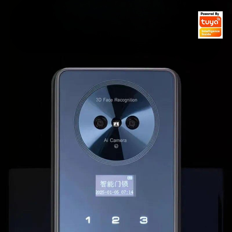 스마트 잠금장치, 얼굴 인식, 자동 작동, 가정용, 손 - Video Door Lock With Camera Peephole 리뷰 및 가격