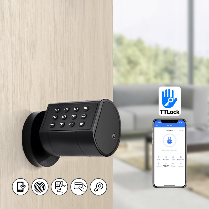 스마트 유로형 원통형 도어락, TTLock 앱 연동,  - Smart Door Lock Fingerprint Wifi 리뷰 및 가격