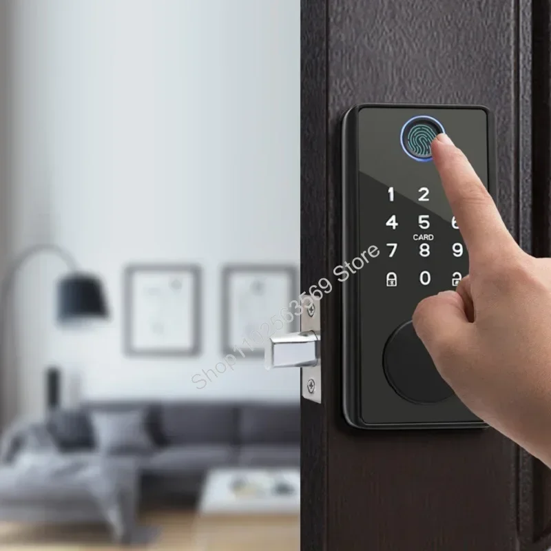스마트 데드볼트 잠금, Tuya/TTlock 스마트 잠 - Smart Lock Deadbolt Keypad Bluetooth 리뷰 및 가격