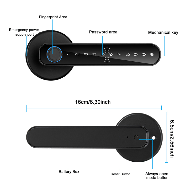 1개 스마트 도어락, 지문/비밀번호/카드/키/앱 제어, - Smart Door Lock Tuya App 리뷰 및 가격