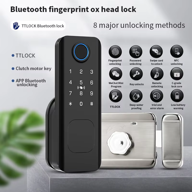초보자용 투야 TT락 야외 마당 게이트 단면 지문 인식 - Smart Rim Lock Wifi Fingerprint 리뷰 및 가격