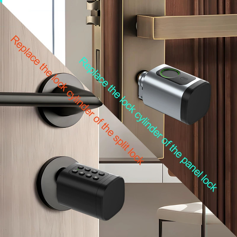 60-90mm 조절 가능 TT 잠금장치/ Tuya 블루 - Smart Door Lock Tuya App 리뷰 및 가격