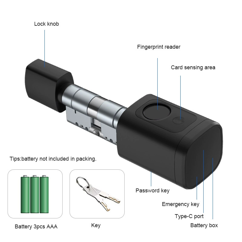 60-90mm 조절 가능 TT 잠금장치/ Tuya 블루 - Smart Door Lock Tuya App 리뷰 및 가격