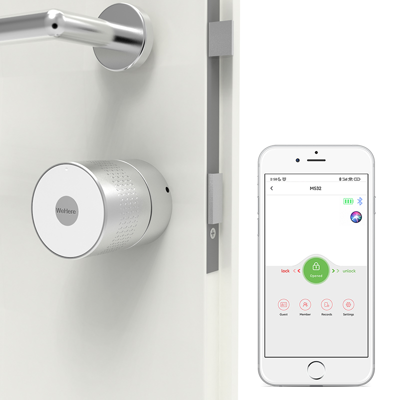 신제품 M532TUYA 앱, 누키 스타일, 잠금 장치  - Smart Lock Zigbee Gateway 리뷰 및 가격