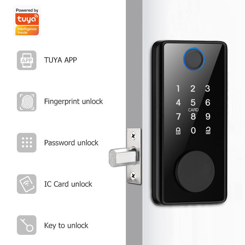 투야(Tuya) 앱을 통한 원격 제어 기능이 있는 도어 - Smart Door Lock Fingerprint Wifi 리뷰 및 가격