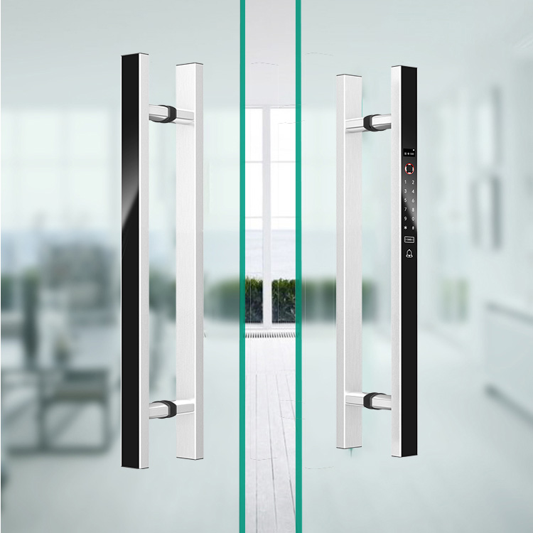 VIANS APP 80CM 더블 도어 스마트 전자 잠금 - Digital Door Lock Fingerprint Handle 리뷰 및 가격