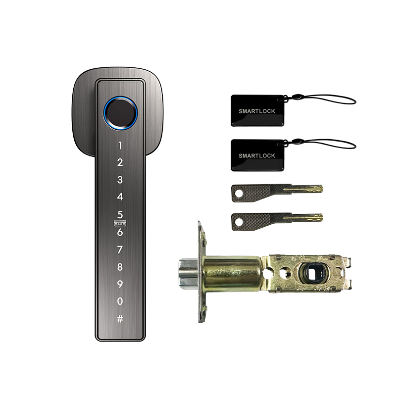 Tuya 블루투스 지문 스마트 도어록 키 IC 카드(침 - Smart Lock Deadbolt Keypad Bluetooth 리뷰 및 가격