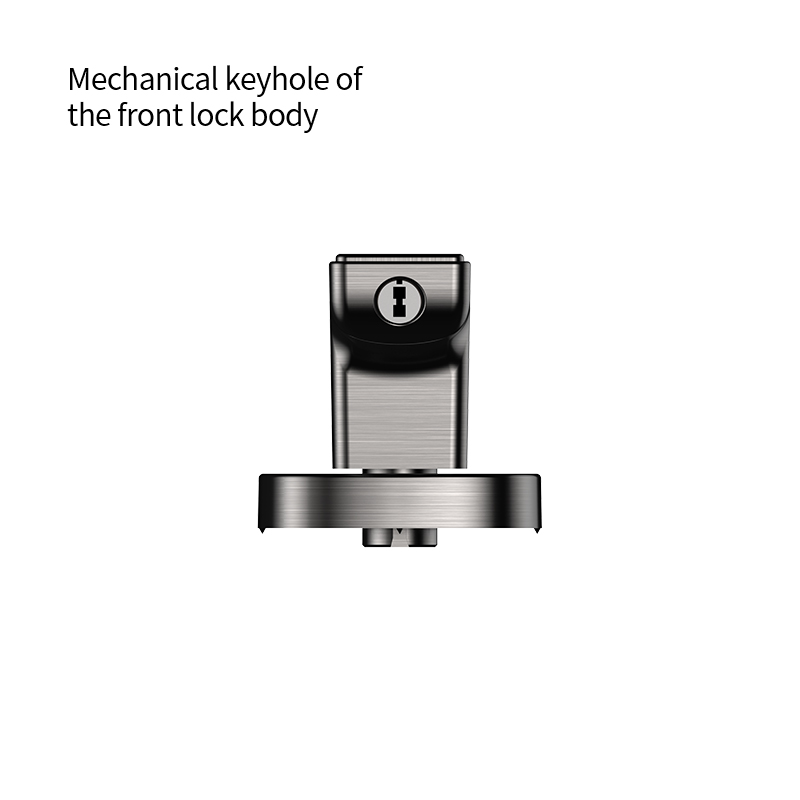 Tuya 블루투스 지문 스마트 도어록 키 IC 카드(침 - Smart Lock Deadbolt Keypad Bluetooth 리뷰 및 가격